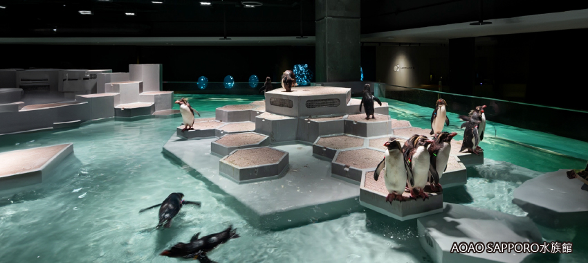 AOAO SAPPORO水族館